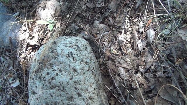 Монета 1808 г  Платина  Золото  Coin 1808  Platinum  Gold