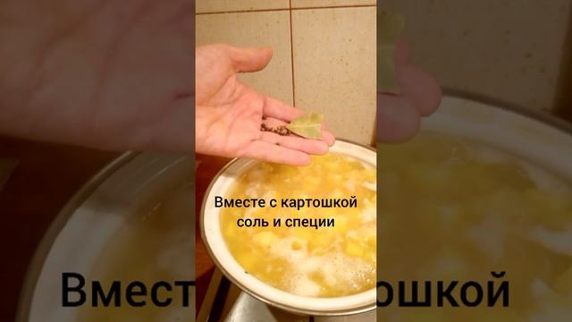 Руководство к Таланту