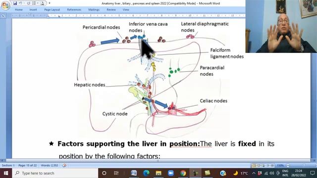 Anatomy GIT Module in English ( Liver, part 3 ) , by Dr, Wahdan смотреть онлайн