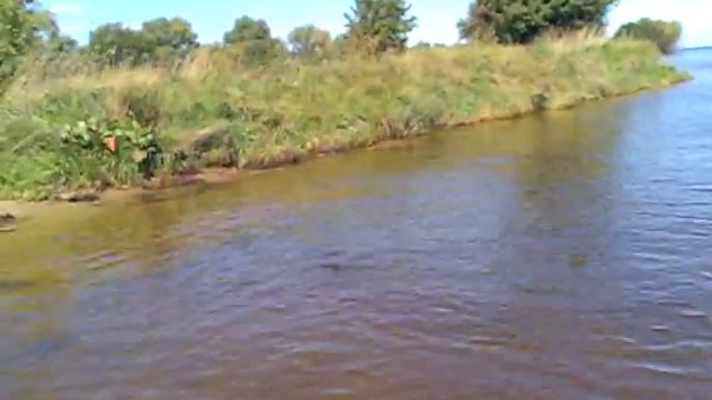 Ловля рыбы руками в Глебовке 3. смотреть онлайн