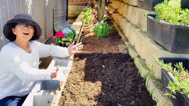 #gardening Petunia Garden -Pinay Countrylife смотреть онлайн