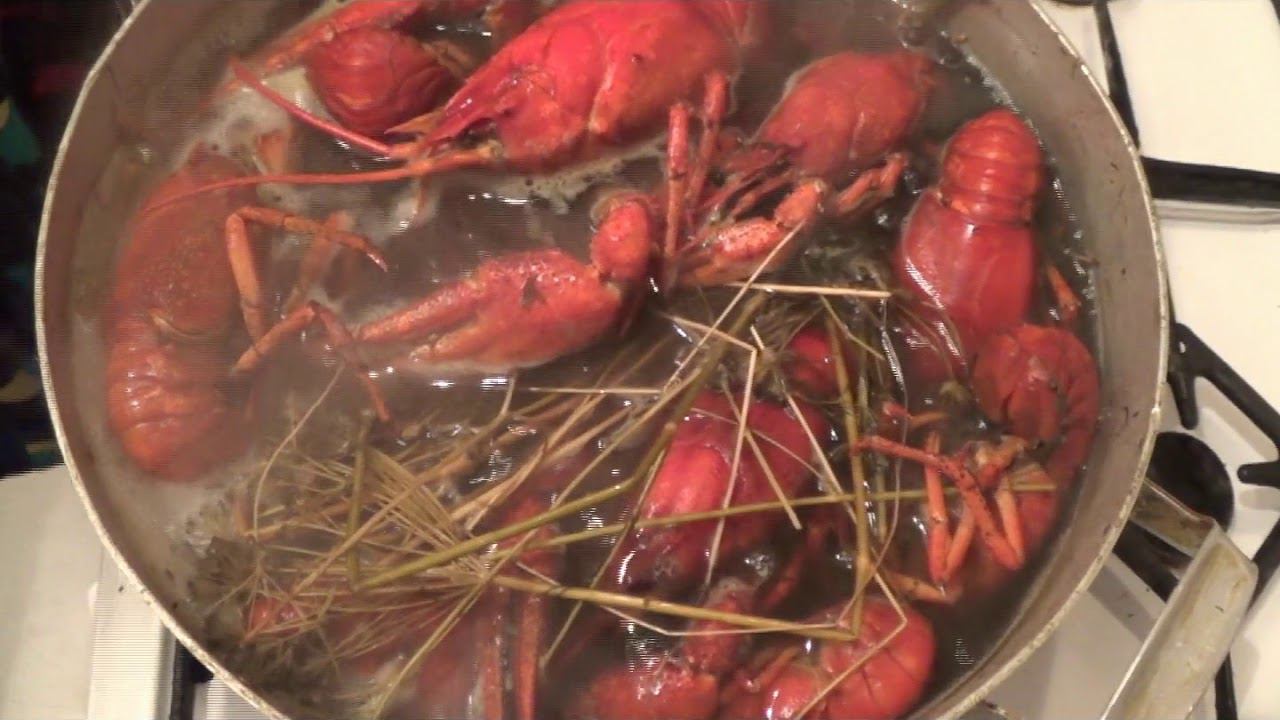 Как вкусно сварить раков смотреть онлайн