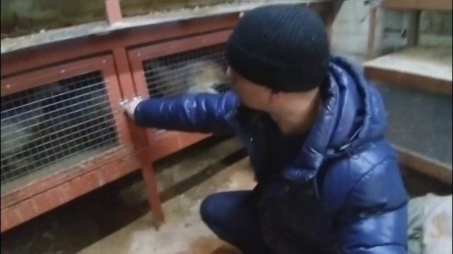 Тёплый Курятник в -40 Какие выявились недостатки? Warm chicken coop. смотреть онлайн