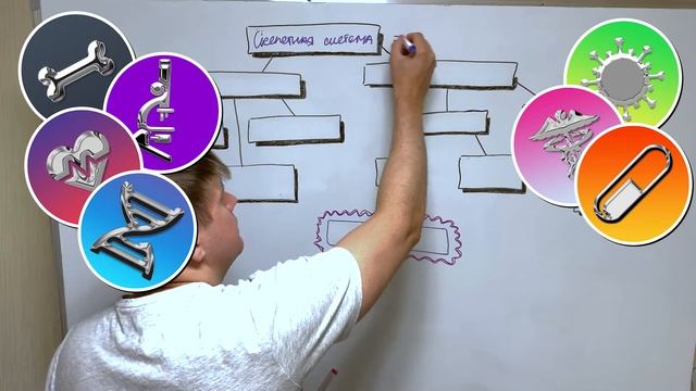 Добро пожаловать в ANATOMICA - образовательный канал о медицине! смотреть онлайн