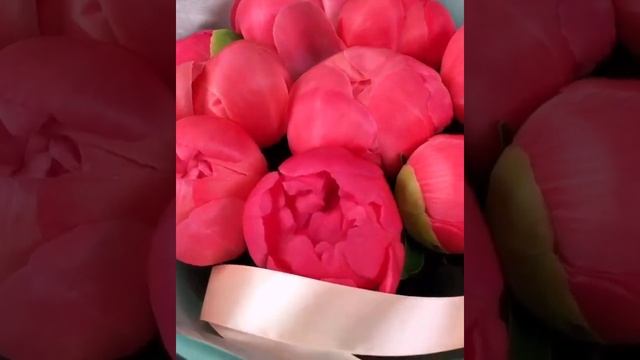 Малиновые пионы Coral Sunset смотреть онлайн