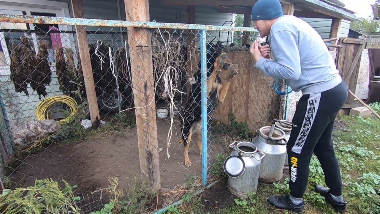 я добрый, но беляш мой.... смотреть онлайн