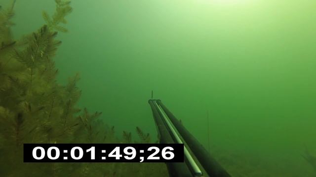 Залежка на дне, тренирует задержку дыхания! смотреть онлайн