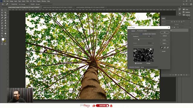 Selection Color Range Photoshop | Adobe Photoshop For Beginners | Class 17 In Urdu/Hindi