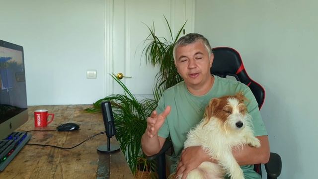 Как заработать деньги смотреть онлайн