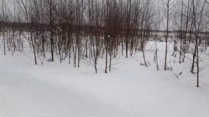 FPV в сугробах.. Radiomaster zorro - нужен ли?
