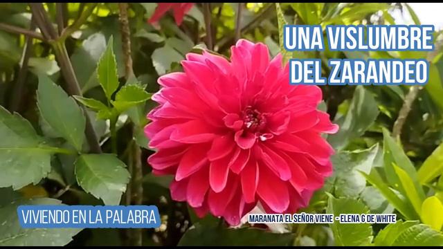 Una vislumbre del zarandeo - Elena G de White - Maranta el Señor viene смотреть онлайн