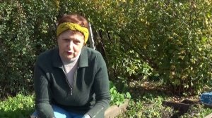 ЧЕСНОК - головками, ТОМАТ - целиком! Посадка в сидераты.