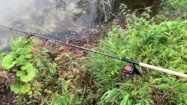 Preston Intensity 720 reel & c-drome power method feeder 3,6m. смотреть онлайн
