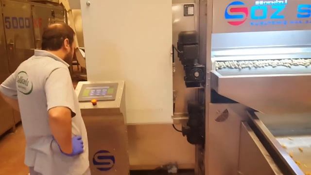 Жарим орехи, OS - 198 Туннельная печь жарки Арахис в скорлупе и других орехов смотреть онлайн