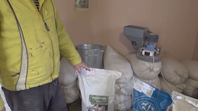 с Турции по порося, чем кормить свиней , бмвд.премикс.соя. смотреть онлайн