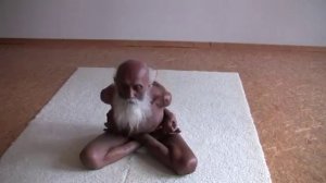 Йог возрастом 104 года