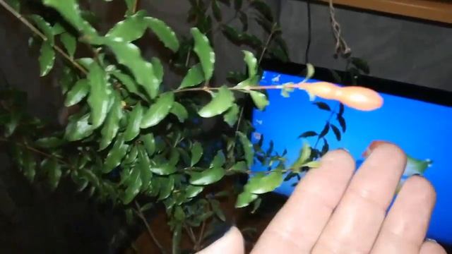 Рецепты Десертов