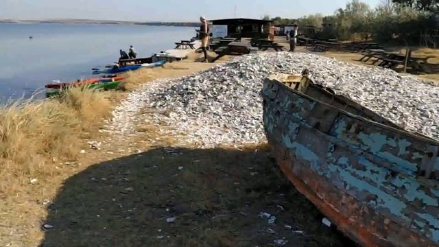 Тилігульський лиман від Коблево до Калинівки на каяках в кінці жовтня. смотреть онлайн