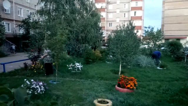 Зеленый город: Уход за территорией