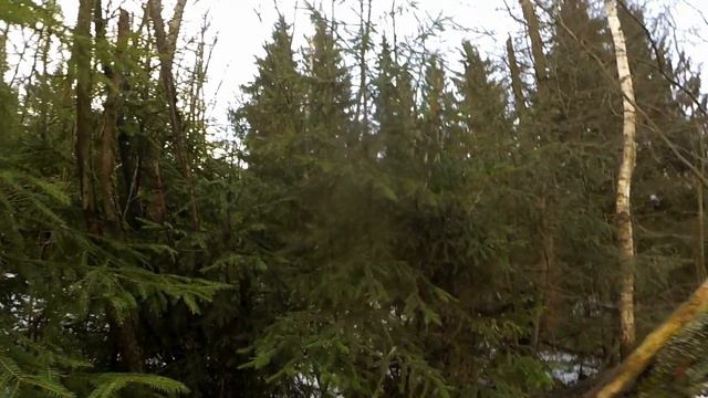 ОХОТА на РЯБЧИКА с ПНЕВМАТИКОЙ и МАНКОМ смотреть онлайн