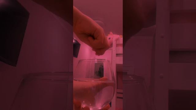 • если она узнает.. • смотреть онлайн