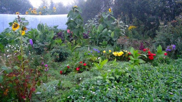 От Матфея 6:33 смотреть онлайн