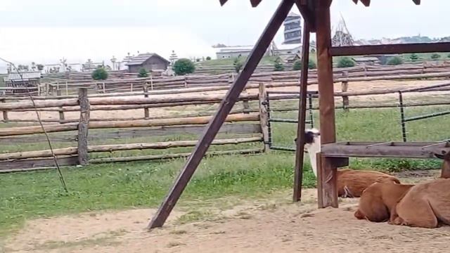 Парк диприз смотреть онлайн