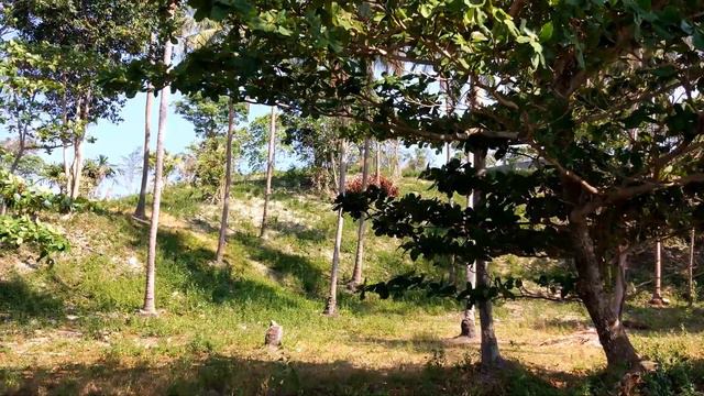 Безлюдные пляжи в Тайланде ещё существуют? Офигеть! Да ладно!? смотреть онлайн