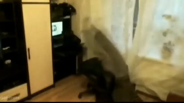 Упал со стула во время стрима смотреть онлайн