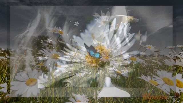 МЕЖДУ МНОЮ И ТОБОЙ!!КРАСИВАЯ ПЕСНЯ!ЖАННА ВИШНЯКОВА!! смотреть онлайн