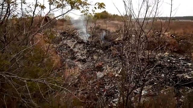 #КартаСвалок62 Свалка по дороге от Новомичуринска в Кораблино