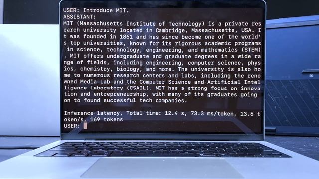TinyChatEngine Chat Demo on Apple MacBook Pro (M1, 2021) смотреть онлайн