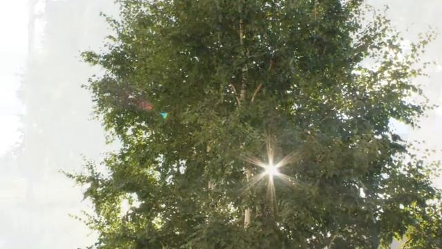 Борзя, лето 2013 смотреть онлайн