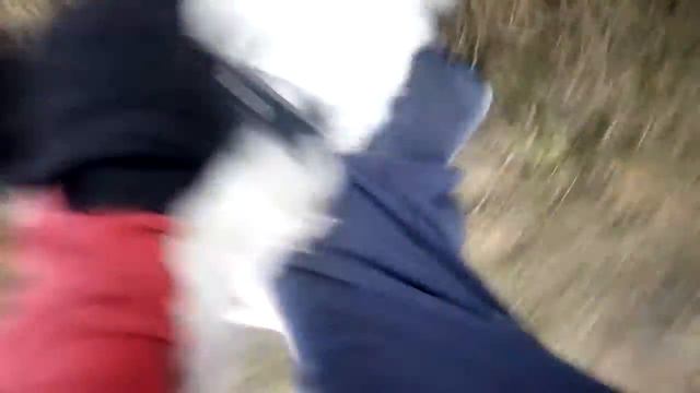 Собака наилучший друг на тренировке! смотреть онлайн