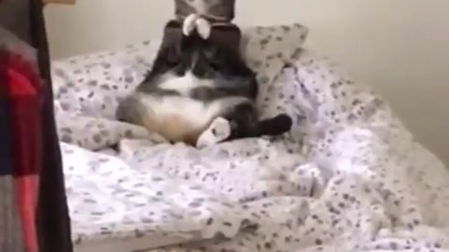 молится,чтоль на ночь?) смотреть онлайн