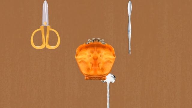 Organization Master Game | eat crab | Solution/Walkthrough (a little to the left) смотреть онлайн