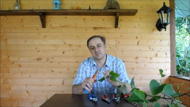 Обзор садовых секаторов DUE BUOI, Felco
