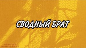 АУДИОКНИГА РОМАН: СВОДНЫЙ БРАТ