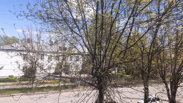 Природа ожила.Солнечный денёк! смотреть онлайн