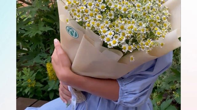 Букет из 25 кустовых ромашек матрикарий смотреть онлайн