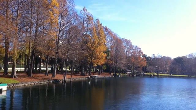 Орландо - парк с озером в центре города, лебеди и небоскребы смотреть онлайн