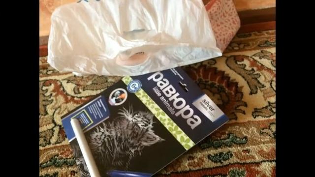 Путешествие в Томаровку на неделю -- часть 1 "Приезд" смотреть онлайн