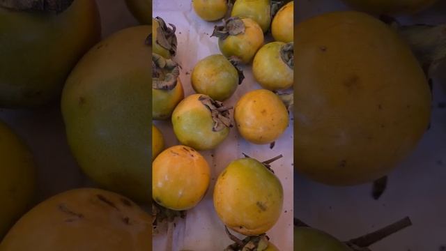 Сочи. Начался сезон хурмы!))) смотреть онлайн