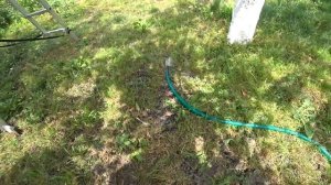 ПЕРЕЕЗД ПОД КРАСНОДАР КАК ВЫГЛЯДИТ У ВЬЕТНАМЦА БАХЧА ??? ПОДКОРМИЛА ГОРТЕНЗИИ??ПЕРЕСЕЛИЛА ИНДЮШАТ?