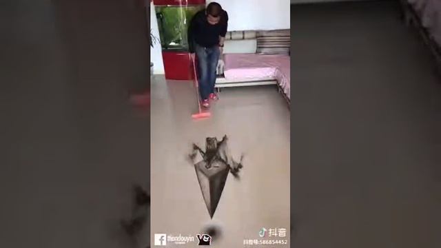 Рисунки на полу смотреть онлайн