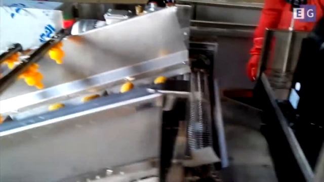 Линия для мойки и сушки фруктов (сухофруктов) смотреть онлайн