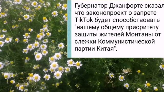 Китаю так делать нельзя смотреть онлайн