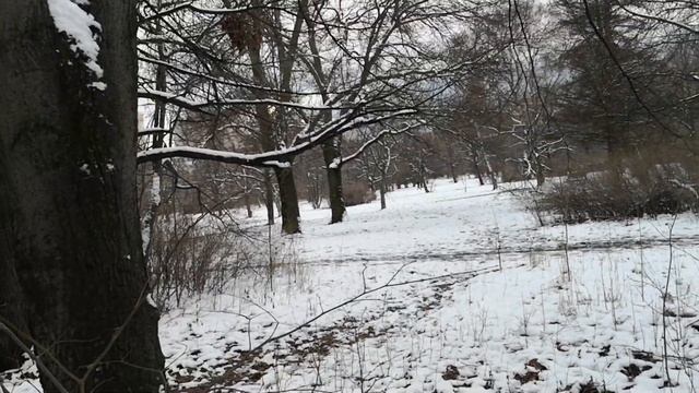 "Рождество Христово" и цитат от Учителя: " Злото обаче е там, че хората постоянно развалят онова, к смотреть онлайн