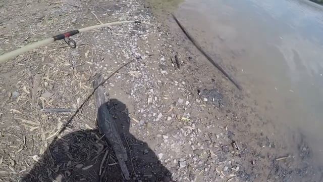 Maumee River Catfish смотреть онлайн