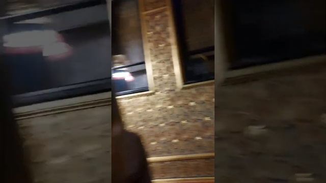 Петербург. Мавританская гостиная. Видео Елены Лапо.